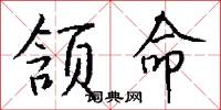 颔命怎么写好看