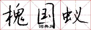 槐国蚁怎么写好看