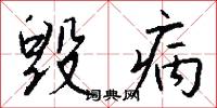 毁病怎么写好看