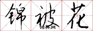 锦被花怎么写好看
