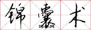 锦囊术怎么写好看