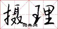 摄理怎么写好看