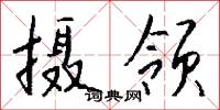 摄领怎么写好看