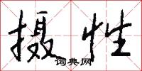 摄性怎么写好看