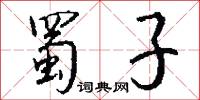 蜀子怎么写好看