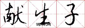 献生子怎么写好看