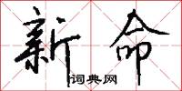 新命怎么写好看