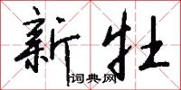 新牡怎么写好看