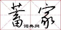 蓄家怎么写好看