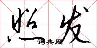 照发怎么写好看