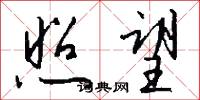 照望怎么写好看