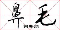鼻毛怎么写好看