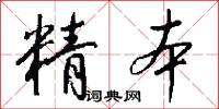 精本怎么写好看