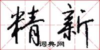 精新怎么写好看