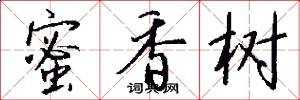 蜜香树怎么写好看