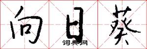 向日葵怎么写好看