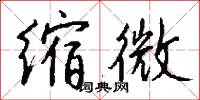 缩微怎么写好看