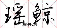 瑶鲸怎么写好看