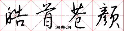 皓首苍颜怎么写好看