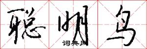 聪明鸟怎么写好看