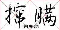 撺瞒怎么写好看