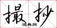 撮抄怎么写好看
