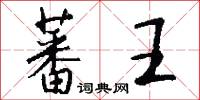 蕃王怎么写好看