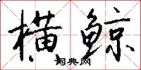 横鲸怎么写好看