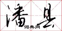 潘县怎么写好看