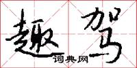 趣驾怎么写好看