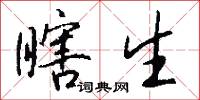 瞎生怎么写好看