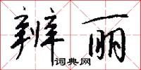 辨丽怎么写好看