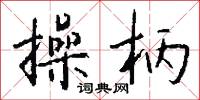 操柄怎么写好看