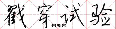 戳穿试验怎么写好看