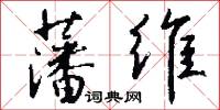 藩维怎么写好看