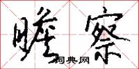 瞻察怎么写好看