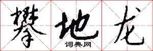 攀地龙怎么写好看
