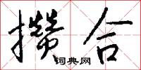 攒合怎么写好看