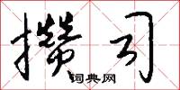 攒司怎么写好看