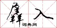 羼入怎么写好看