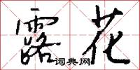 露花怎么写好看