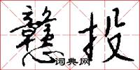 戆投怎么写好看