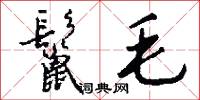 鬣毛怎么写好看
