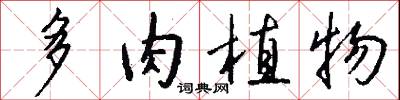 多肉植物怎么写好看