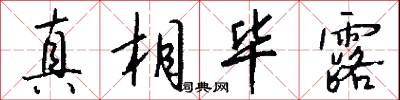 真相毕露怎么写好看