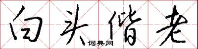 白头偕老怎么写好看