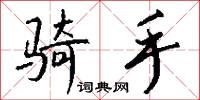 骑手怎么写好看