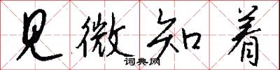 见微知着怎么写好看