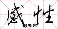 感性怎么写好看