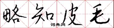 略知皮毛怎么写好看